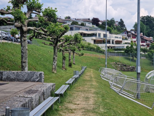 Sportplatz Erlenmoos Platz 2 - Wollerau