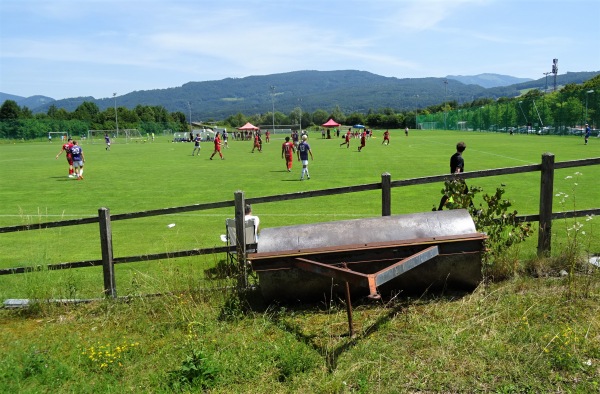 Sportzentrum Rif Platz 5 - Hallein