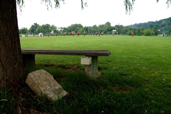 Sportplatz am Blauen Wunder - Dresden-Loschwitz