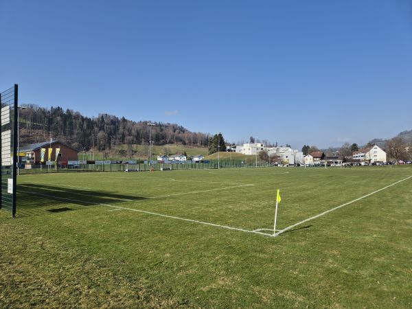 Sportplatz Laupenstrasse - Wald ZH