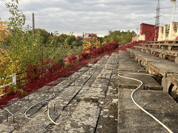 Stadionul CFR - Timișoara