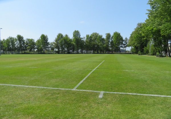 Sportpark Ter Specke veld 3 - Lisse