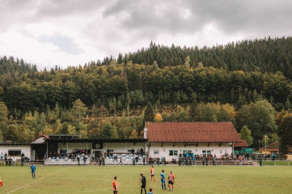 Flößer-Stadion - Wallenfels