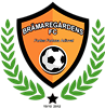 Wappen Brämaregårdens FC