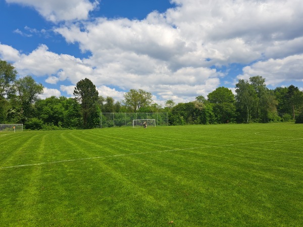 Sportveld De Fielliettaz Goethart veld 3 - Tynaarlo-Vries