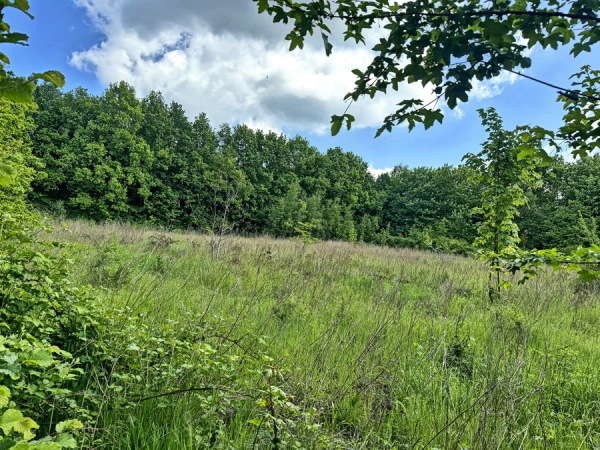 Sportplatz Auf der Tüte - Unna-Massen