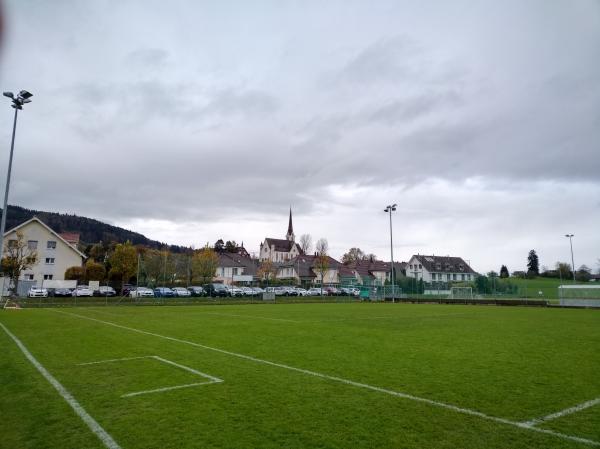 Sportplatz Spiserwies - Abtwil