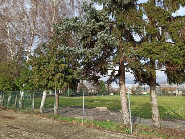 Kohlfahrtstadion Nebenplatz - Karlsdorf-Neuthard