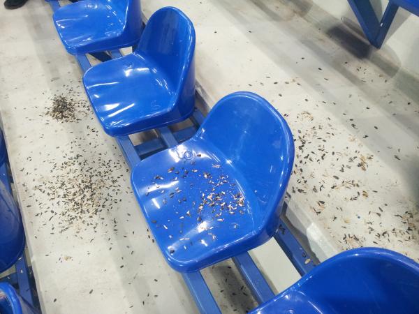 Trace Arena - Stara Zagora
