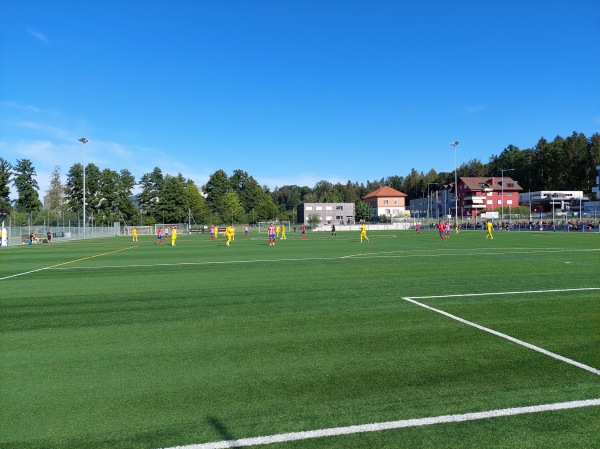 Bugel Sportarena - Rotkreuz