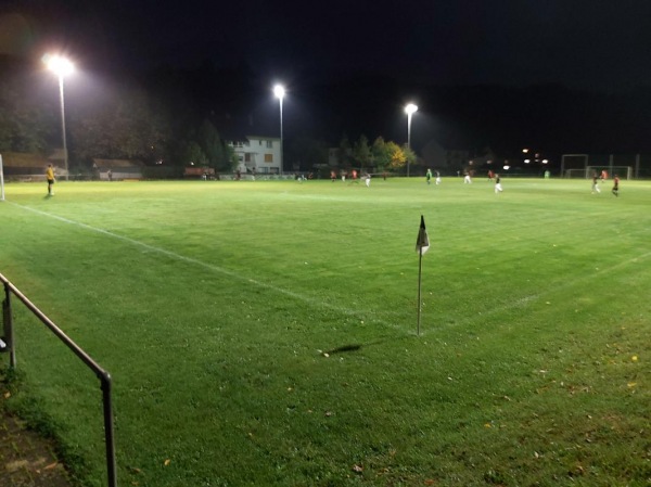 ZME-Arena - Biebergemünd-Wirtheim