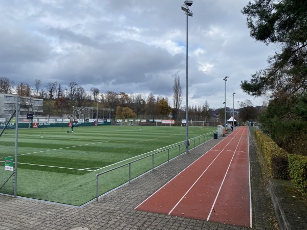 Sportplatz Wartegg - Luzern