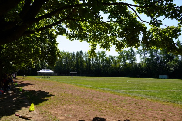 Friedrich-Hähnel-Sportplatz - Chemnitz-Helbersdorf