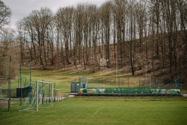 Sportplatz Plexgrund - Lichtentanne-Schönfels