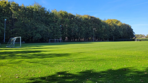 Sportzentrum Bomhof C-Platz - Vechta-Langförden