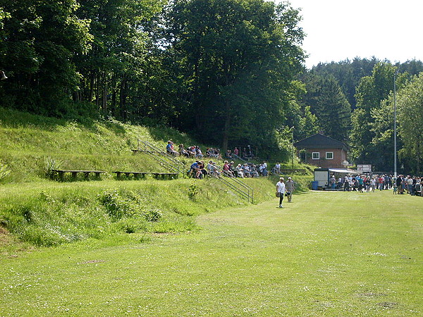 FC-Platz am Waldstadion - Burg/Dithmarschen