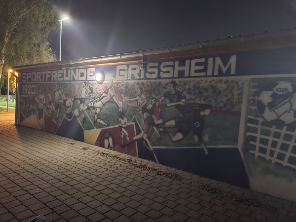 Fritz Meier Sportanlage Platz 2 - Neuenburg/Rhein-Grißheim