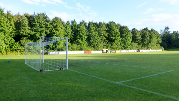 SkovParken - Vojens