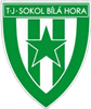 Wappen TJ Sokol Bílá Hora diverse  102858