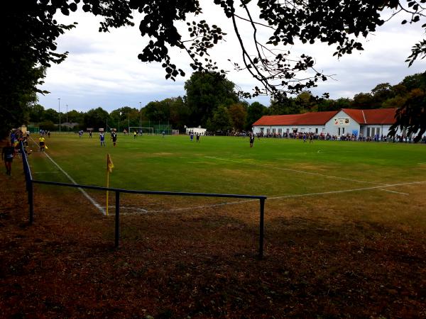Sportplatz an der Zuckerfabrik - Osternienburger Land-Wulfen