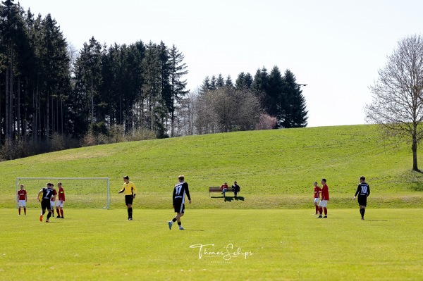 Sportplatz an der Mühlwiese - Dornhan-Marschalkenzimmern