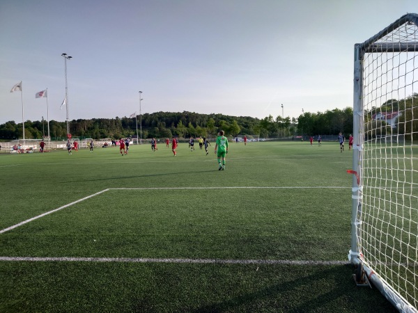 Sparbanksvallen - Fjälebro