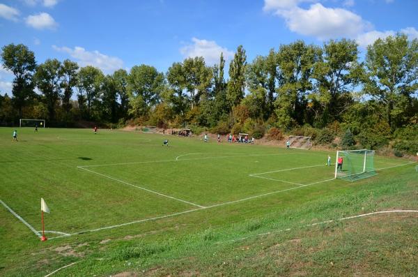Friedrich-Ludwig Jahn Kampfsportbahn Nebenplatz 2 - Leipzig-Eutritzsch