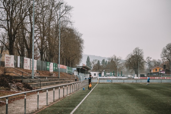 Sepp-Endreß-Sportanlage Platz 2 - Würzburg