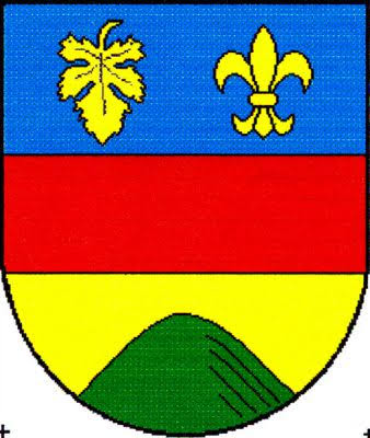 Wappen ehemals TJ Medlovice