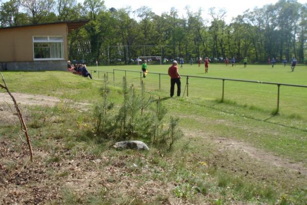 Waldstadion - Salzwedel-Liesten