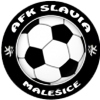 Wappen AFK Slavia Malešice B  102851