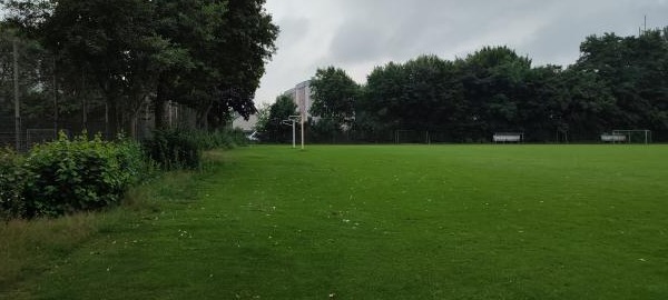 Sportpark Blanke am Heideweg Platz 2 - Nordhorn-Blanke