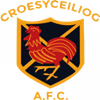 Wappen Croesyceiliog AFC