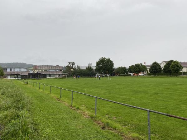 Sportplatz Eschenmoos Nebenplatz - Dottikon
