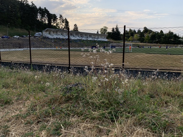 Givi Chokheli Stadion - Telavi