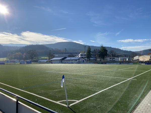 Julabo-Kunstrasen-Arena - Seelbach/Schutter