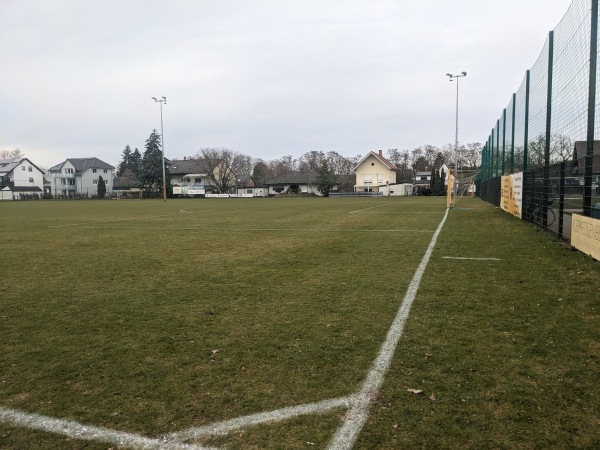 Sportanlage Dudenhofener Straße Platz 2 - Schifferstadt