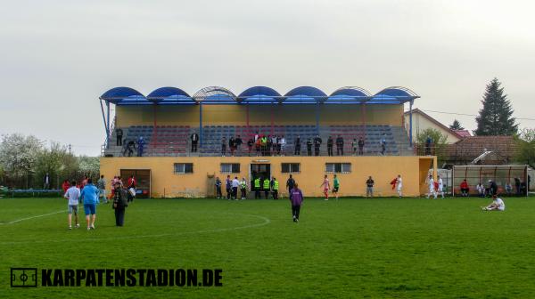 Stadionul Central Voința - Domnești