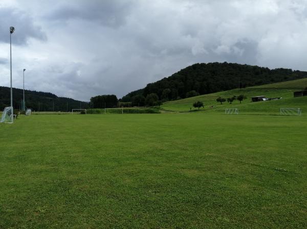 Sportanlage Detzeln Platz 2 - Waldshut-Tiengen-Detzeln