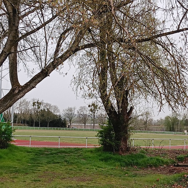 Stadion am Sommerbad - Bad Köstritz