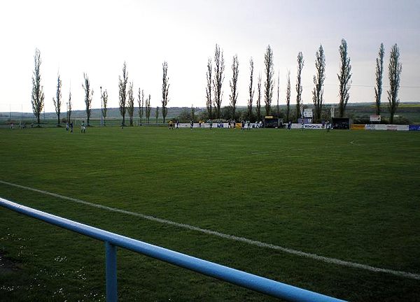 Sportzentrum Peter Müller - Seegebiet Mansfelder Land-Amsdorf