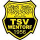 Wappen TSV Wentorf 1956  15503