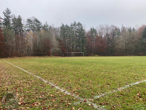 Sportplatz im Wald - Betzenstein