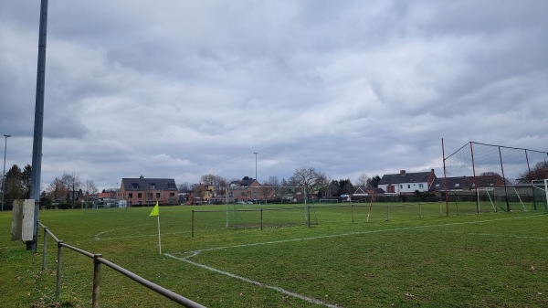 Kattenstadion Terrein 5 - Meerhout