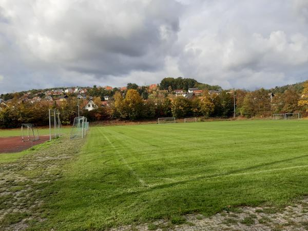 Sportanlage Georg-Schäfer-Straße Platz 2 - Ebelsbach-Gleisenau