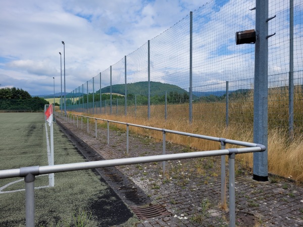 Kunstrasen am Stadion Walperloh - Schmalkalden