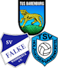 Wappen SG Barenburg/Wehrbleck/Holzhausen-Bahrenborstel II - Frauen (Ground B)
