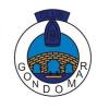 Wappen Gondomar CF