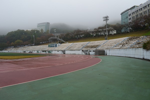 Yongin University Stadium - Yongin