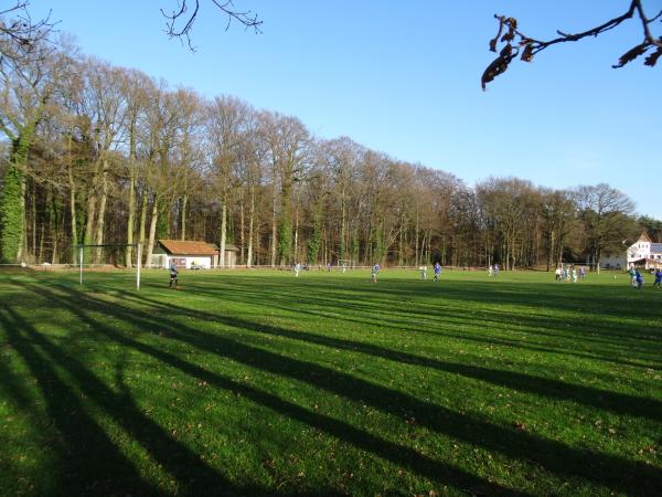 Allerkampfbahn B-Platz - Hodenhagen